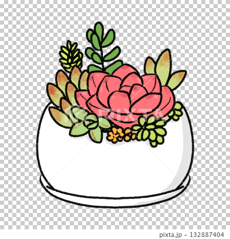 多肉植物の寄せ植え 多肉植物の寄せ植え 132887404