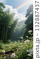 二十四節気・春の情景⑤ 清明（虹と竹林） 132887437
