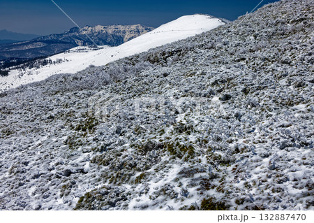至仏山から尾瀬ヶ原へ向かう途中の樹氷と小至仏山・上州武尊山 132887470
