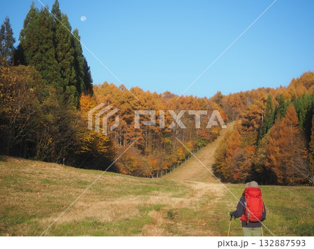 紅葉のゲレンデを歩くハイカー(20251108071645) 紅葉のゲレンデを歩くハイカー(20251108071645) 132887593