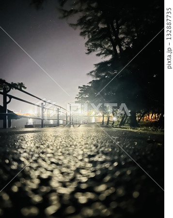 夜の道、光の残響 132887735