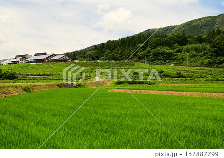道の駅 遠野風の丘付近の水田地帯から見える釜石線 132887799