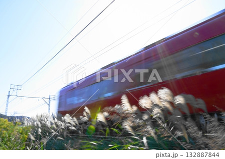 ススキの穂と名鉄電車 ススキの穂と名鉄電車 132887844