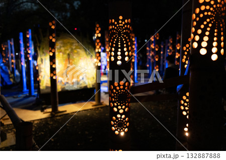 ライトアップされた竹あかり ライトアップされた竹あかり 132887888