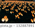 幻想的な竹あかり 132887891