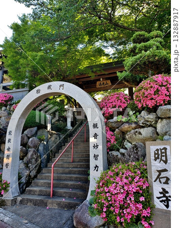 篠栗　ツツジ満開の明石寺 132887917