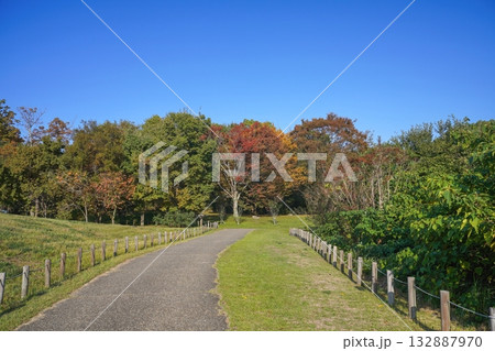 青空バックに見る静寂に包まれた秋の公園の情景 青空バックに見る静寂に包まれた秋の公園の情景 132887970