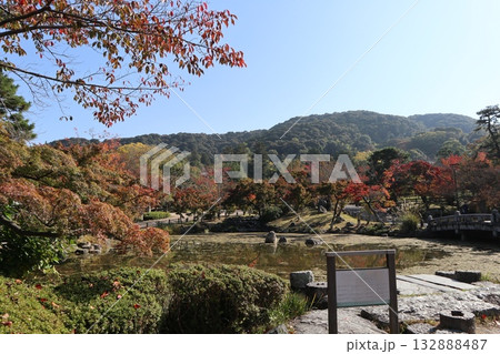 紅葉の始まった京都円山公園 132888487