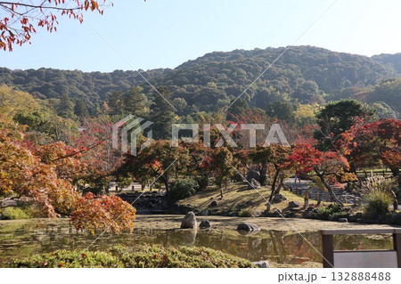 紅葉の始まった京都円山公園 132888488