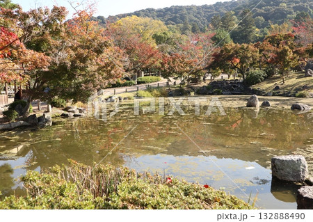 紅葉の始まった京都円山公園 紅葉の始まった京都円山公園 132888490
