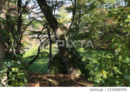 紅葉の始まった京都円山公園 紅葉の始まった京都円山公園 132888540