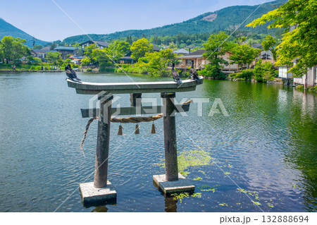 新緑の湯布院金鱗湖 132888694