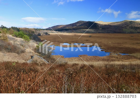 秋の八島湿原 132888703