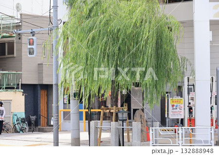 東京都台東区千束町吉原の見返り柳 東京都台東区千束町吉原の見返り柳 132888948