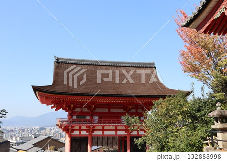 紅葉の始まった京都音羽山清水寺 紅葉の始まった京都音羽山清水寺 132888998