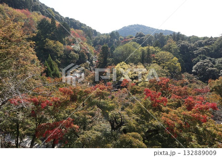 紅葉の始まった京都音羽山清水寺 紅葉の始まった京都音羽山清水寺 132889009