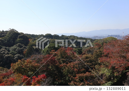 紅葉の始まった京都音羽山清水寺 132889011