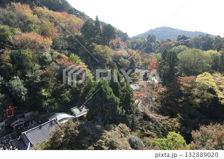 紅葉の始まった京都音羽山清水寺 紅葉の始まった京都音羽山清水寺 132889020