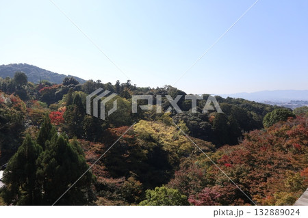 紅葉の始まった京都音羽山清水寺 紅葉の始まった京都音羽山清水寺 132889024