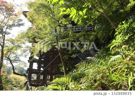 紅葉の始まった京都音羽山清水寺 132889035