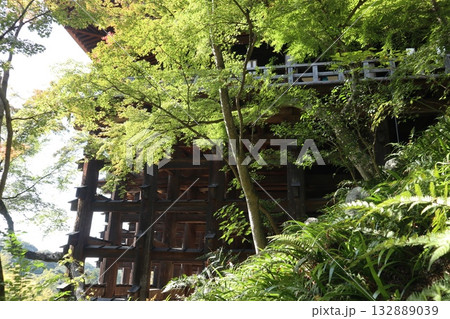 紅葉の始まった京都音羽山清水寺 紅葉の始まった京都音羽山清水寺 132889039