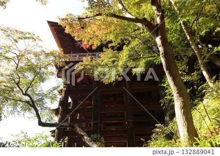 紅葉の始まった京都音羽山清水寺 紅葉の始まった京都音羽山清水寺 132889041