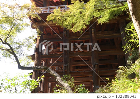 紅葉の始まった京都音羽山清水寺 紅葉の始まった京都音羽山清水寺 132889043