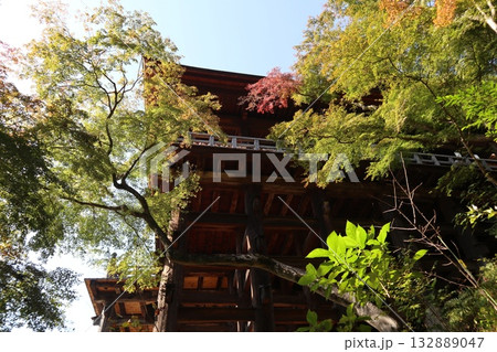 紅葉の始まった京都音羽山清水寺 紅葉の始まった京都音羽山清水寺 132889047