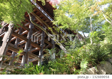 紅葉の始まった京都音羽山清水寺 紅葉の始まった京都音羽山清水寺 132889058