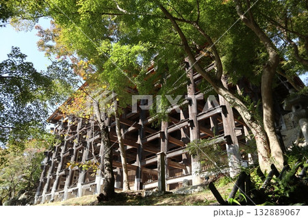 紅葉の始まった京都音羽山清水寺 132889067