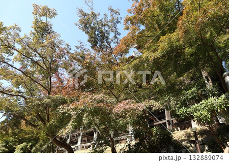 紅葉の始まった京都音羽山清水寺 紅葉の始まった京都音羽山清水寺 132889074