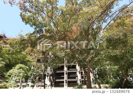 紅葉の始まった京都音羽山清水寺 紅葉の始まった京都音羽山清水寺 132889078