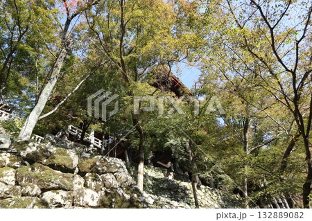 紅葉の始まった京都音羽山清水寺 132889082