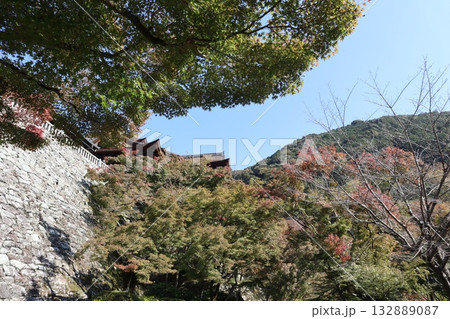 紅葉の始まった京都音羽山清水寺 紅葉の始まった京都音羽山清水寺 132889087