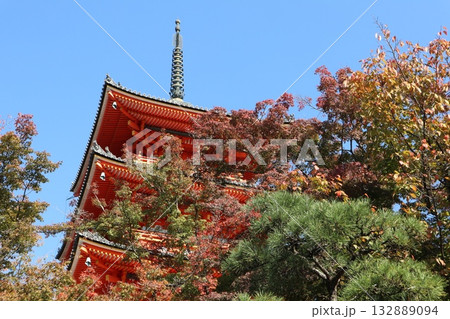 紅葉の始まった京都音羽山清水寺 紅葉の始まった京都音羽山清水寺 132889094