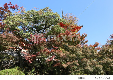 紅葉の始まった京都音羽山清水寺 132889098
