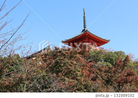 紅葉の始まった京都音羽山清水寺 紅葉の始まった京都音羽山清水寺 132889102