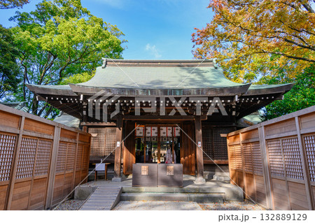 川越市　川越氷川神社　拝殿　毎年11月、拝殿前を東西に囲いをした風景 132889129