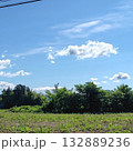 ツツジの花たち 132889236