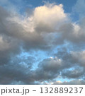 ツツジの花たち 132889237