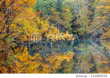 秋の龍ヶ窪 132889358