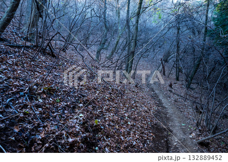 高尾エリア縦走登山、東京 高尾エリア縦走登山、東京 132889452
