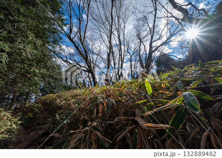 高尾エリア縦走登山、東京 高尾エリア縦走登山、東京 132889482