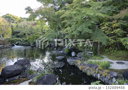 鎌倉長谷寺放生池 132889488