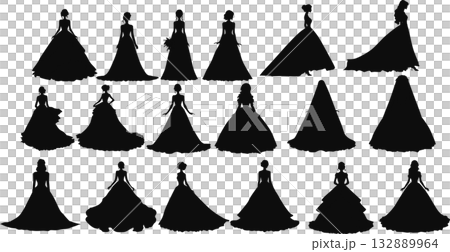 ドレスを着た女性のイラストセット	 132889964