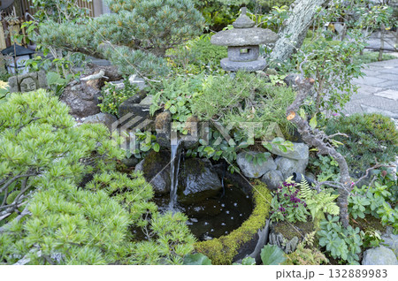 鎌倉長谷寺見晴台さくら広場花盆栽 鎌倉長谷寺見晴台さくら広場花盆栽 132889983
