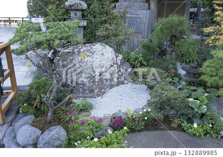 鎌倉長谷寺見晴台さくら広場花盆栽 132889985