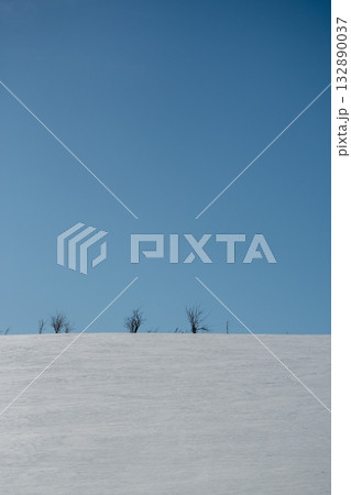 冬の晴れた青空と雪原の冬木立 冬の晴れた青空と雪原の冬木立 132890037