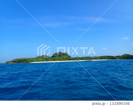 スリランカ　ピジョン島国立公園 132890198