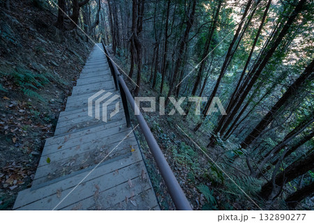 高尾エリア縦走登山、東京 高尾エリア縦走登山、東京 132890277